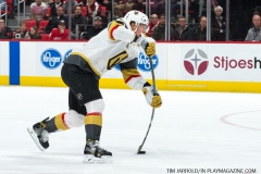 Red Wings v Vegas Golden Knights March 8 2018 (10)