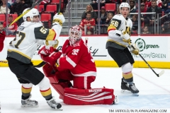 Red Wings v Vegas Golden Knights March 8 2018 (12)