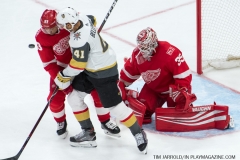 Red Wings v Vegas Golden Knights March 8 2018 (13)