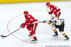 Red Wings v Vegas Golden Knights March 8 2018 (14)