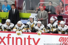 Red Wings v Vegas Golden Knights March 8 2018 (17)
