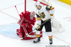Red Wings v Vegas Golden Knights March 8 2018 (18)