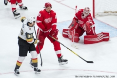 Red Wings v Vegas Golden Knights March 8 2018 (19)