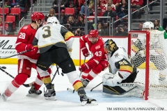 Red Wings v Vegas Golden Knights March 8 2018 (24)