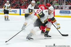 Red Wings v Vegas Golden Knights March 8 2018 (25)
