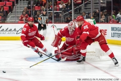 Red Wings v Vegas Golden Knights March 8 2018 (27)