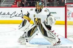 Red Wings v Vegas Golden Knights March 8 2018 (3)