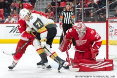 Red Wings v Vegas Golden Knights March 8 2018 (31)