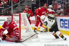 Red Wings v Vegas Golden Knights March 8 2018 (32)