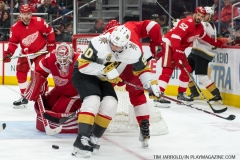 Red Wings v Vegas Golden Knights March 8 2018 (33)