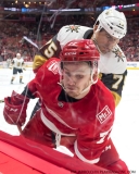Red Wings v Vegas Golden Knights March 8 2018 (34)