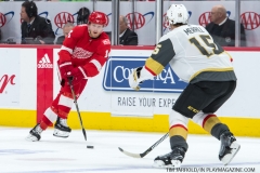 Red Wings v Vegas Golden Knights March 8 2018 (4)