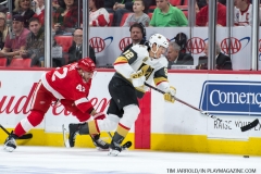 Red Wings v Vegas Golden Knights March 8 2018 (7)
