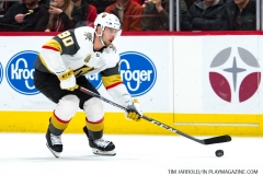 Red Wings v Vegas Golden Knights March 8 2018 (8)