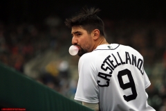 Chicago-White-Sox-vs-Detroit-Tigers-April-18-2019-11