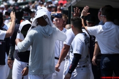 Tigers vs White Sox May 27 2018 (3)