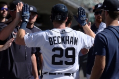 White-Sox-vs-Detroit-Tigers-Sept-22-2019-15