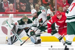 Wild vs Red Wings Feb 22 2019 (1)