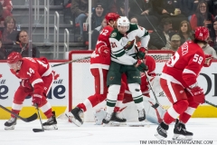 Wild vs Red Wings Feb 22 2019 (10)