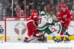 Wild vs Red Wings Feb 22 2019 (11)