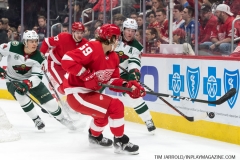 Wild vs Red Wings Feb 22 2019 (12)