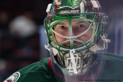 Wild vs Red Wings Feb 22 2019 (14)