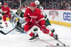 Wild vs Red Wings Feb 22 2019 (16)