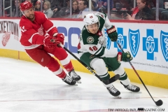 Wild vs Red Wings Feb 22 2019 (18)