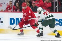 Wild vs Red Wings Feb 22 2019 (19)