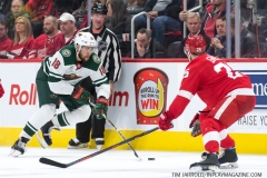 Wild vs Red Wings Feb 22 2019 (2)
