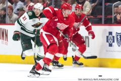 Wild vs Red Wings Feb 22 2019 (21)