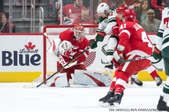 Wild vs Red Wings Feb 22 2019 (22)