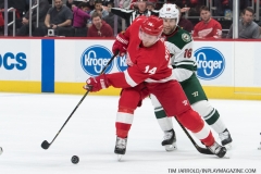 Wild vs Red Wings Feb 22 2019 (23)
