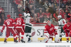 Wild vs Red Wings Feb 22 2019 (24)