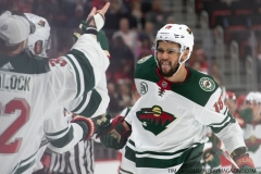 Wild vs Red Wings Feb 22 2019 (25)