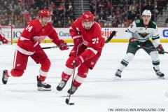 Wild vs Red Wings Feb 22 2019 (26)