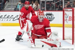 Wild vs Red Wings Feb 22 2019 (3)