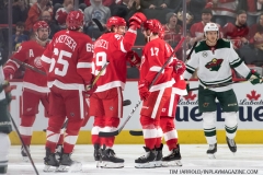 Wild vs Red Wings Feb 22 2019 (32)