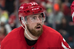 Wild vs Red Wings Feb 22 2019 (4)