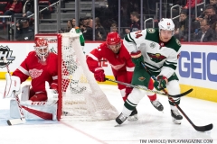 Wild vs Red Wings Feb 22 2019 (40)