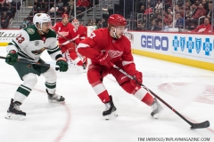 Wild vs Red Wings Feb 22 2019 (41)