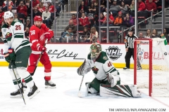 Wild vs Red Wings Feb 22 2019 (47)
