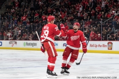 Wild vs Red Wings Feb 22 2019 (48)