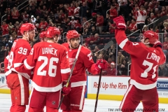 Wild vs Red Wings Feb 22 2019 (49)