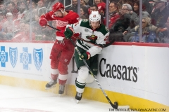 Wild vs Red Wings Feb 22 2019 (54)