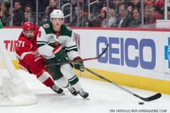 Wild vs Red Wings Feb 22 2019 (7)