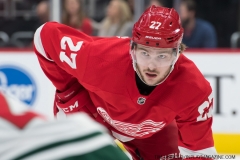 Wild vs Red Wings Feb 22 2019 (8)
