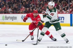 Wild vs Red Wings Feb 22 2019 (9)