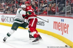 Wild-at-Red-Wings-February-27-2020-21