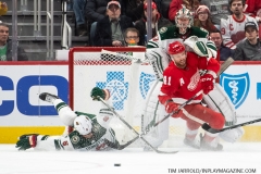 Wild-at-Red-Wings-February-27-2020-41